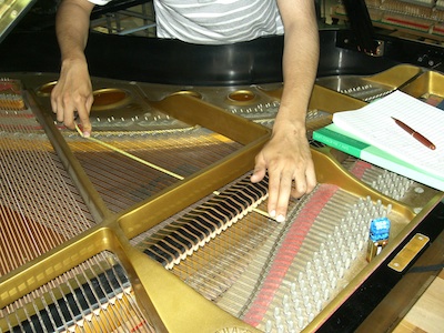 sample